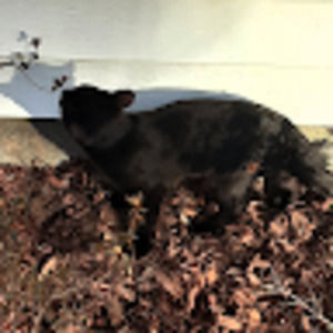 Meet your Posher, Hayden